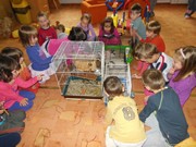 Den dětí se zvířátky